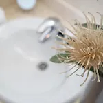 빌라 Hibiscus 플라야블랑카